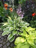20240704_131810.webp