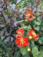 20240704_131833.webp