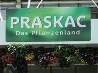 2024Praskac.jpg