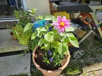 20240612_134004.webp
