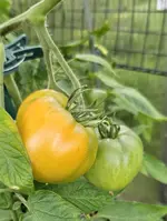 20240706_200601.webp
