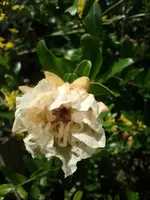 IMG_20240707_120014.webp