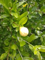 IMG_20240707_115847.jpg