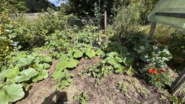 IMG_0569.jpeg
