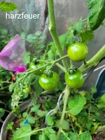 20240707_144846.webp