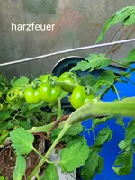 20240707_144834.webp