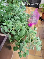 20240707_143713.webp