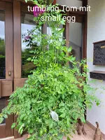20240707_133521.webp