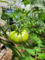 20240707_114050.webp