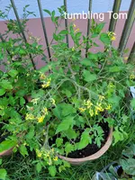 20240707_105846.webp