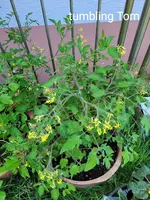 20240707_105843.webp