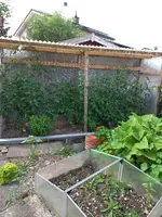 20240707_164659.webp