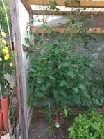 20240707_164737.webp