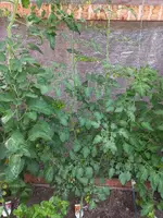 20240707_164749.webp