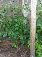20240707_164758.webp