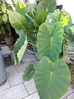 20230908_085339.jpg