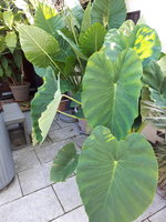 20230908_085339.jpg