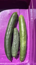 IMG_0580.jpeg
