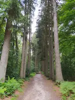 IMG_20240707_125717.jpg