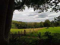 IMG_20240707_141604.jpg