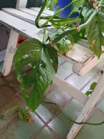 20240704_114822.webp