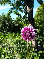 20240709_172150.webp