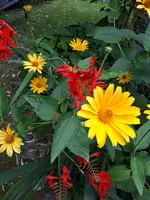 20240705_184924.webp