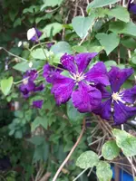 20240705_184636.webp