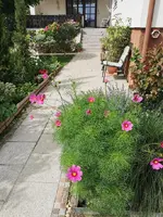 IMG_20240630_095737.webp