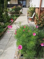 IMG_20240630_095737.jpg