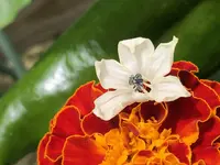 B44EDC68-5C2D-49E2-A283-9FAA0EE9C257.webp
