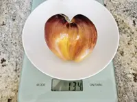 20240710_154245.jpg