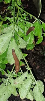 20240710_220042.jpg