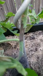 20240711_211922.webp