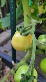 20240711_211702.webp