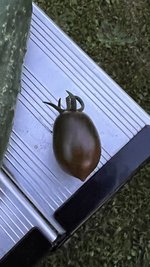 IMG_0609.jpeg