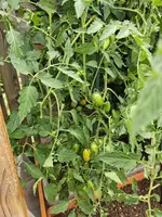 20240712_102712.webp