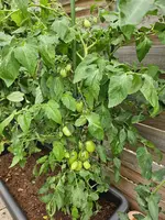 20240712_102651.webp