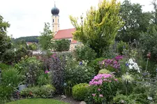 Juli          3324.webp