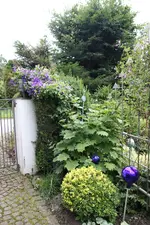 Juli          3424.webp