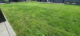 20240712_160624.webp