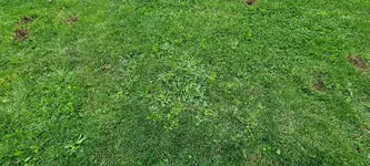 20240712_160636.webp