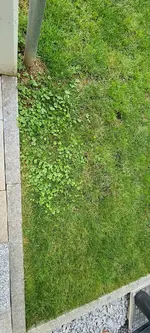20240712_160655.webp