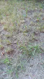 20240708_192514.webp