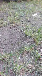 20240708_192526.webp