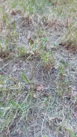 20240708_192519.webp