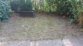 20240708_192543.webp