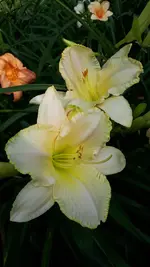 20240629_172124.webp