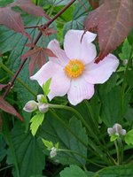 IMG_20240713_132903.jpg