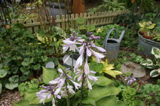 DSC00994.JPG